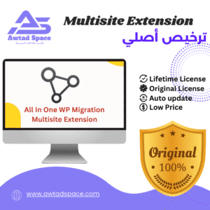 All in One WP Migration Multisite Extension